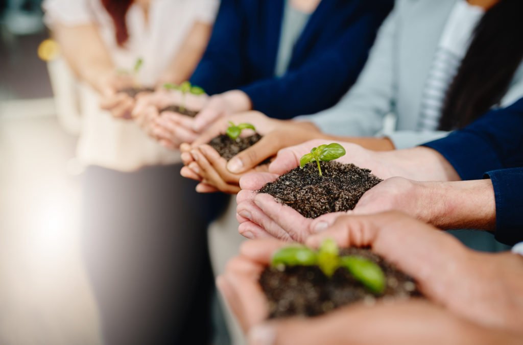 Closeup shot of a group of businesspeople holding plants growing out of soil